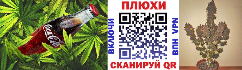 Canna-Cookies конопля  цены наркотик  Апшеронск 