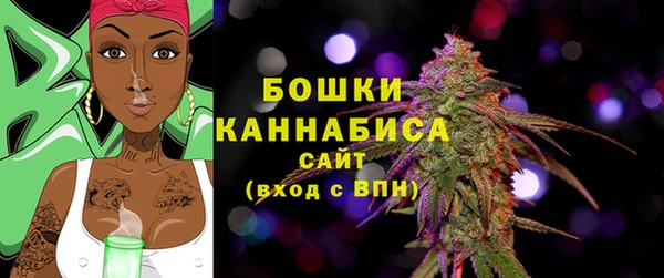 Альфа ПВП Нея