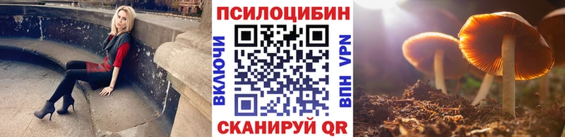 Галлюциногенные грибы Psilocybe  купить наркотики цена  Апшеронск 